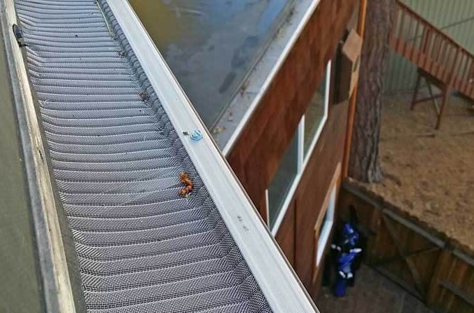 A close-up view of a Gutterglove stainless steel micro-mesh gutter guard on a house roof, with a few leaves resting on the mesh. In the background, there’s a fenced yard and a wooden stairway.