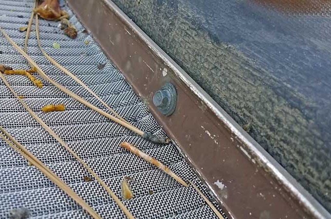 Close-up of a gutter guard with pine needles and debris on top, secured by a bolt to the gutter’s edge for easy installation. Part of the roof is visible above; similar guards are available at Costco.