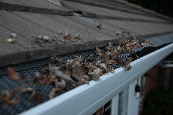 Read more about the article Avoiding the Damage of Clogged Gutters